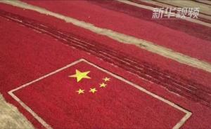 新疆焉耆辣椒迎秋晒,戈壁滩变“红海”