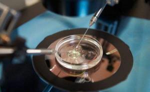 中外科学家发表新论述，呼吁合理放开人类胚胎基因研究的限制