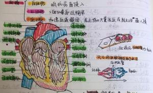 杭州初三女生把科学笔记整理成绘本：每页都有彩色插画配文字