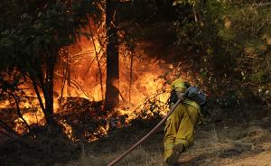 美加州火灾已致38人罹难10万居民撤离，当局动员囚犯救火