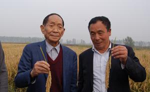 袁隆平“超级稻”再创世界单产纪录，平均亩产达1149公斤