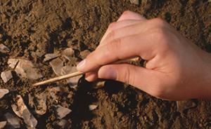 考古学家发现4000年前饭盒，盒内残存“神秘”食物残渣