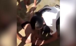 男童溺水昏迷,过路女护士心肺复苏救起