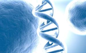 癌症常由不到10个基因突变造成：肝癌4个，结肠直癌10个
