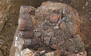 科学家在新疆发现3.7亿年前植物化石，揭远古树木生长秘密