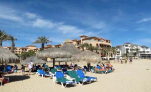 墨西哥著名度假海滩发生枪击事件，致3死2伤