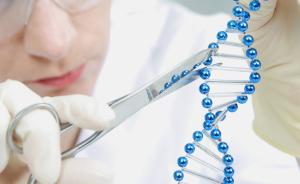 韩国学者：“美国制造”基因编辑人类胚胎研究其实由韩国主导