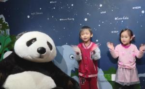 WWF发起首个“国际熊猫日"，吁保护生物多样性和生态环境