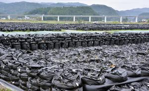 日本福岛正式启用过渡性储存设施，处理核事故产生的去污土壤