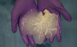 “洗”掉旧细胞再造新器官，新技术或能按需培育可移植肝脏