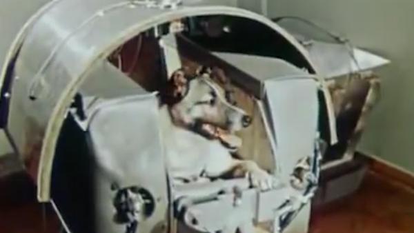 首位地球“旅客”莱卡进入太空60年了