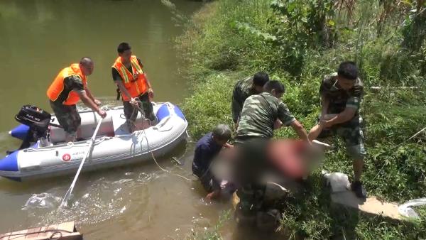 吵架闹离婚，丈夫负气跳塘身亡