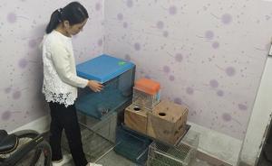 深圳养鸟人卖珍稀鹦鹉获刑案二审开庭，专家将出庭发表意见