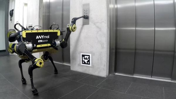瑞士大学造“大狗”：会按电梯会建地图
