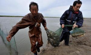 天津5渔民诉康菲案一审被驳回：有权索赔但未能证明具体损失