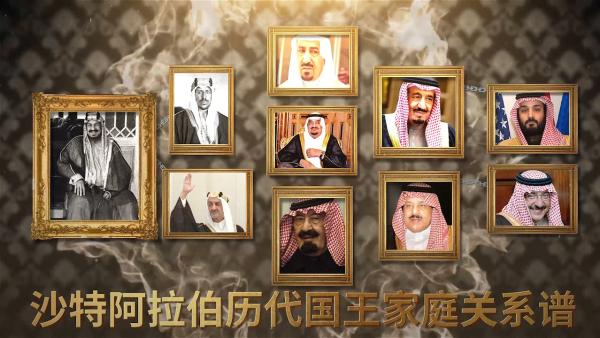 100秒看完沙特历代国王族谱