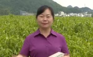 贵州兴仁县长为农产品代言：全世界80%的薏仁米都来自这里