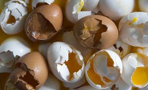 韩国检出本地产“毒鸡蛋”：被杀虫剂污染，三大超市停售鸡蛋
