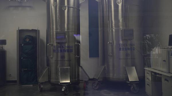 探访山东银丰实验室：新人体冷冻罐就位