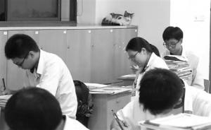 流浪猫常“蹭课”还会抓人，宁波一中学将就是否驱逐组织辩论