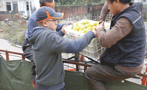 耶鲁毕业生组队四川种橘扶贫:睡过鸡舍