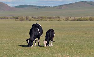 农业部应对耐药问题，已禁止4种人兽共用抗生素用于食品动物