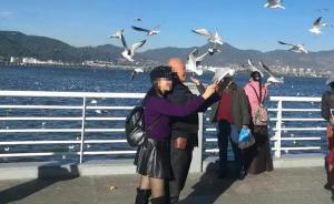 游客在昆明观赏海鸥时抓一只欲合影，涉非法捕猎被罚625元