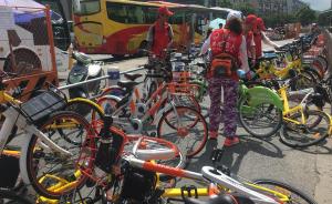 杭州出现“单车猎人”志愿者团队：专管共享单车无序停放