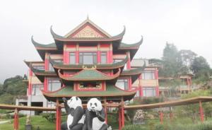 印尼熊猫馆将开馆：投资六百万美元、入住四川两只7岁大熊猫