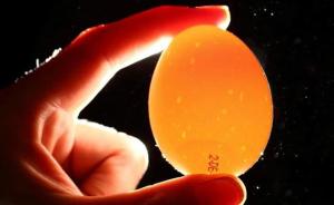 农业部回应：欧洲“毒鸡蛋”未进入中国内地市场