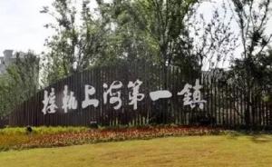 嘉兴两地被规划进上海城镇圈，将跨省市域共享公共服务设施