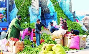 北京：当蔬菜供应明显下降或价格出现大幅上涨时，政府将调控