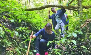 哈尔滨现代肩挑客深山寻宝，带几十万美元印尼热带雨林找沉香