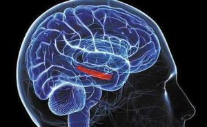 AI帮你回神：脑植入物可自主诊断情绪异常，自动刺激大脑