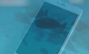 苏州女子手机掉海底，北京夫妇潜水找回