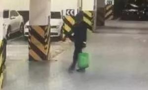 南京一房產經理不堪催貸，專程到杭州砸車盜竊30多起被刑拘