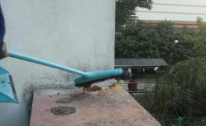 上海一高校女寝阳台遭粪便“空袭”，保卫处：将联合宿管排查