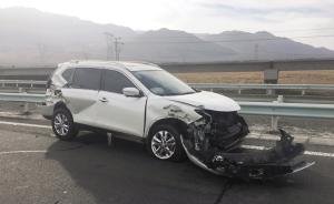 大鸟飞停高速公路超车道，新疆女司机紧急躲避酿车祸幸无伤亡