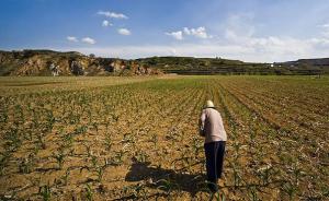 农业部：农地确权面积已超八成，农地改革明年进入深化转折年