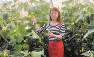 湖北恩施科技局女局长8年前辞职创业，种藜蒿营收已超五千万