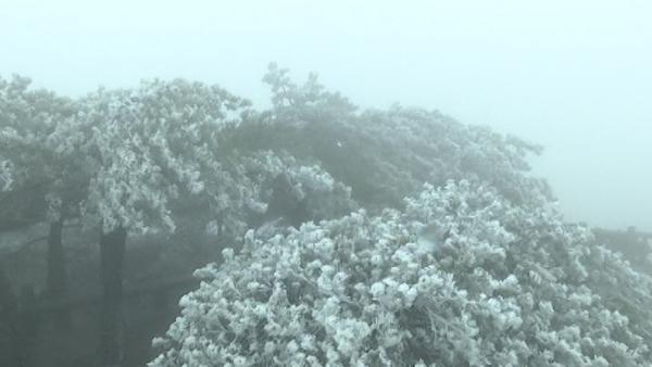 安徽天柱山现雾凇景观：不看对不起冬天