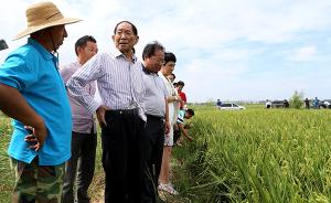 袁隆平：拟3年研发抗海水浓度0.6%、亩产三百公斤杂交稻