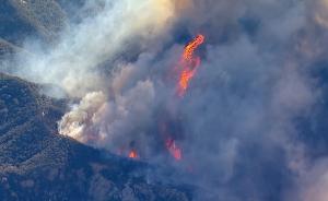 美国加州再燃森林大火，逾两万民众撤离