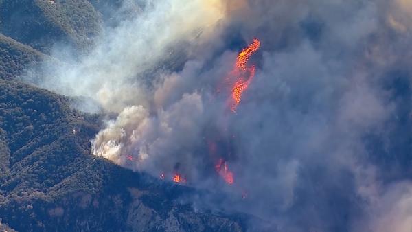 美国加州再燃森林大火，逾两万民众撤离