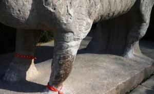 凤阳明皇陵石麒麟被磨成“小细腿”，园方：成重点文保前形成