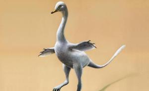 科学家发现恐龙新物种：恐龙身体、天鹅脖子，前腿像企鹅翅膀