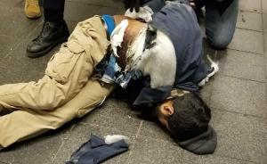 纽约曼哈顿巴士站恐袭，27岁嫌犯被捕