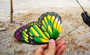 广西再现奇葩展览：蝴蝶展用塑料蝴蝶，官方称已责成景区检查