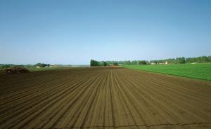 我国耕地轮作休耕试点面积达1200万亩，涉及湖南等9省份