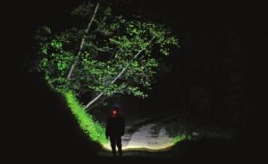 四川男子跋涉上万公里保护萤火虫，在深山为其筑洞房